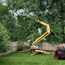 Best Hazardous Tree Removal  in Arnold, CA